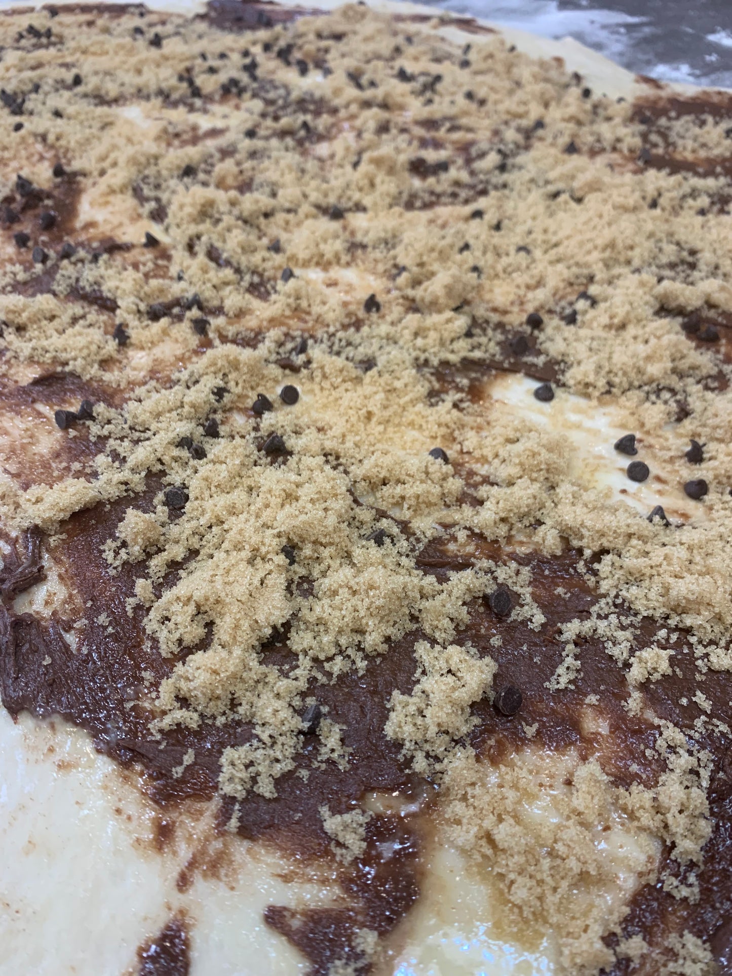 Chocolate Chip Nutella Sourdough Rolls