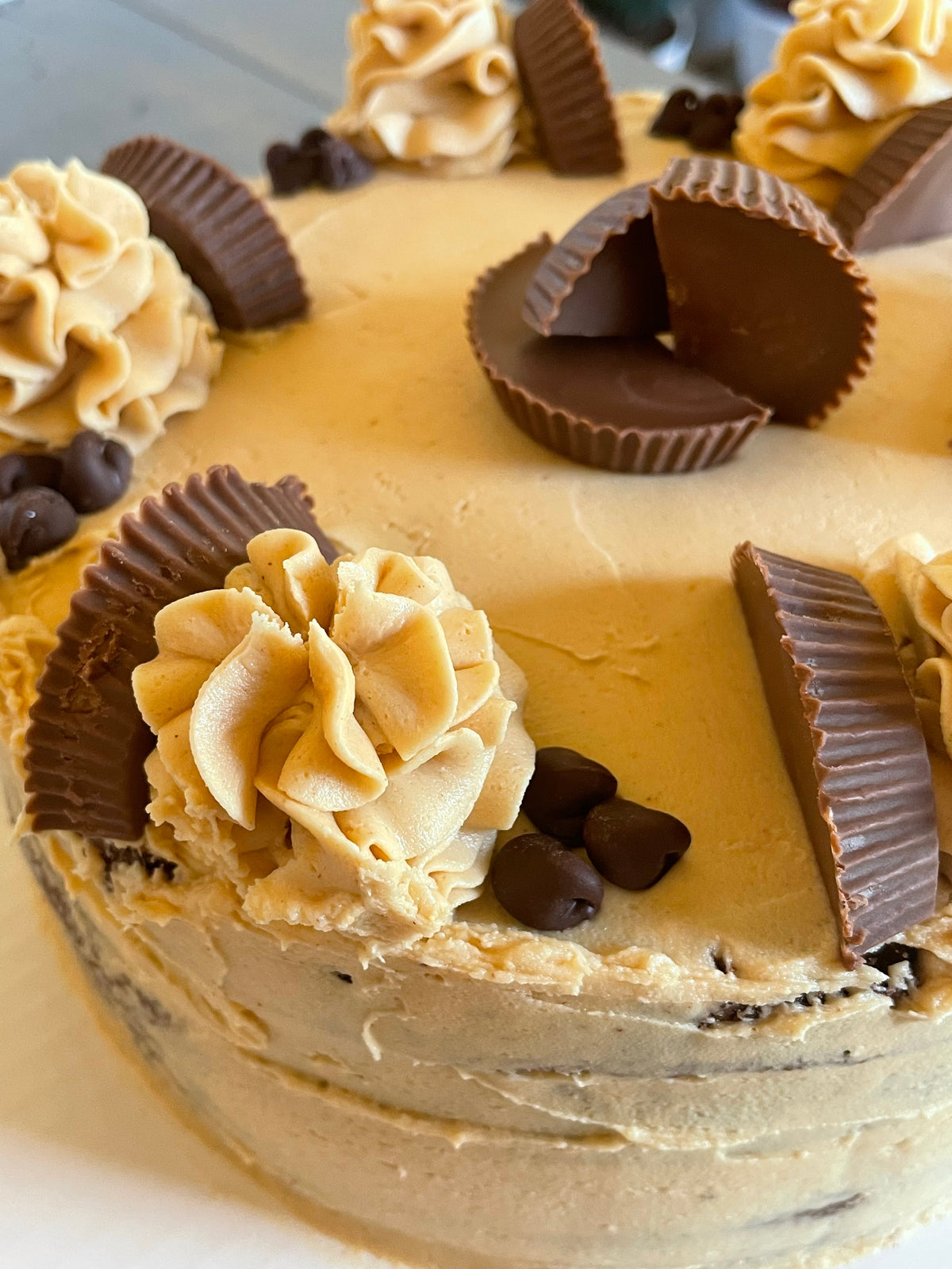 Peanut Butter Chocolate Cake