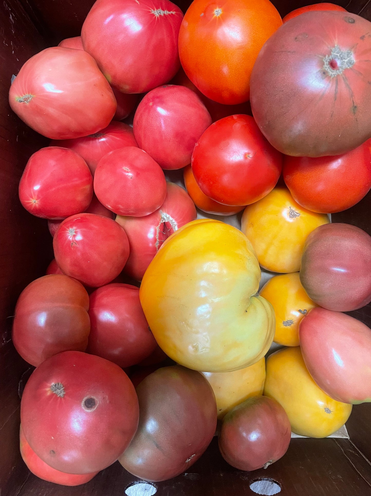 Heirloom tomatoes (3 pounds)