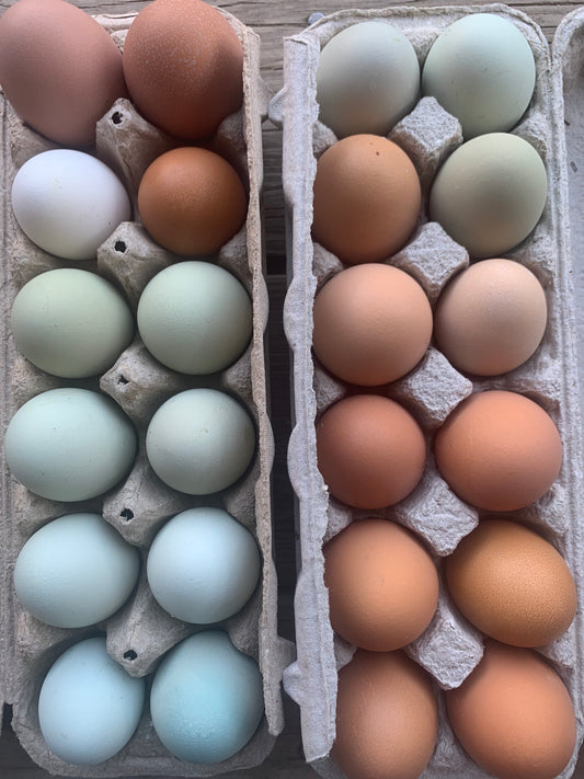 FARM FRESH EGGS | FREE RANGE