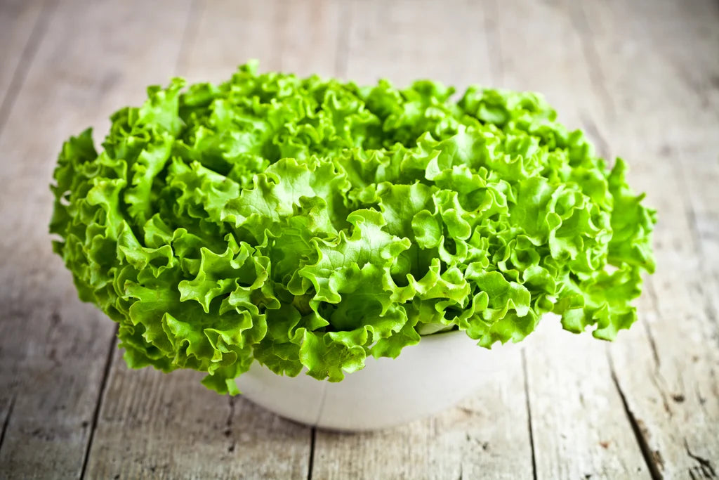 FARM | Head lettuce-no spray