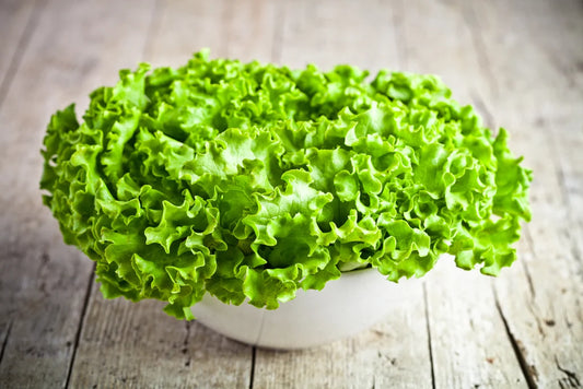 FARM | Head lettuce-no spray