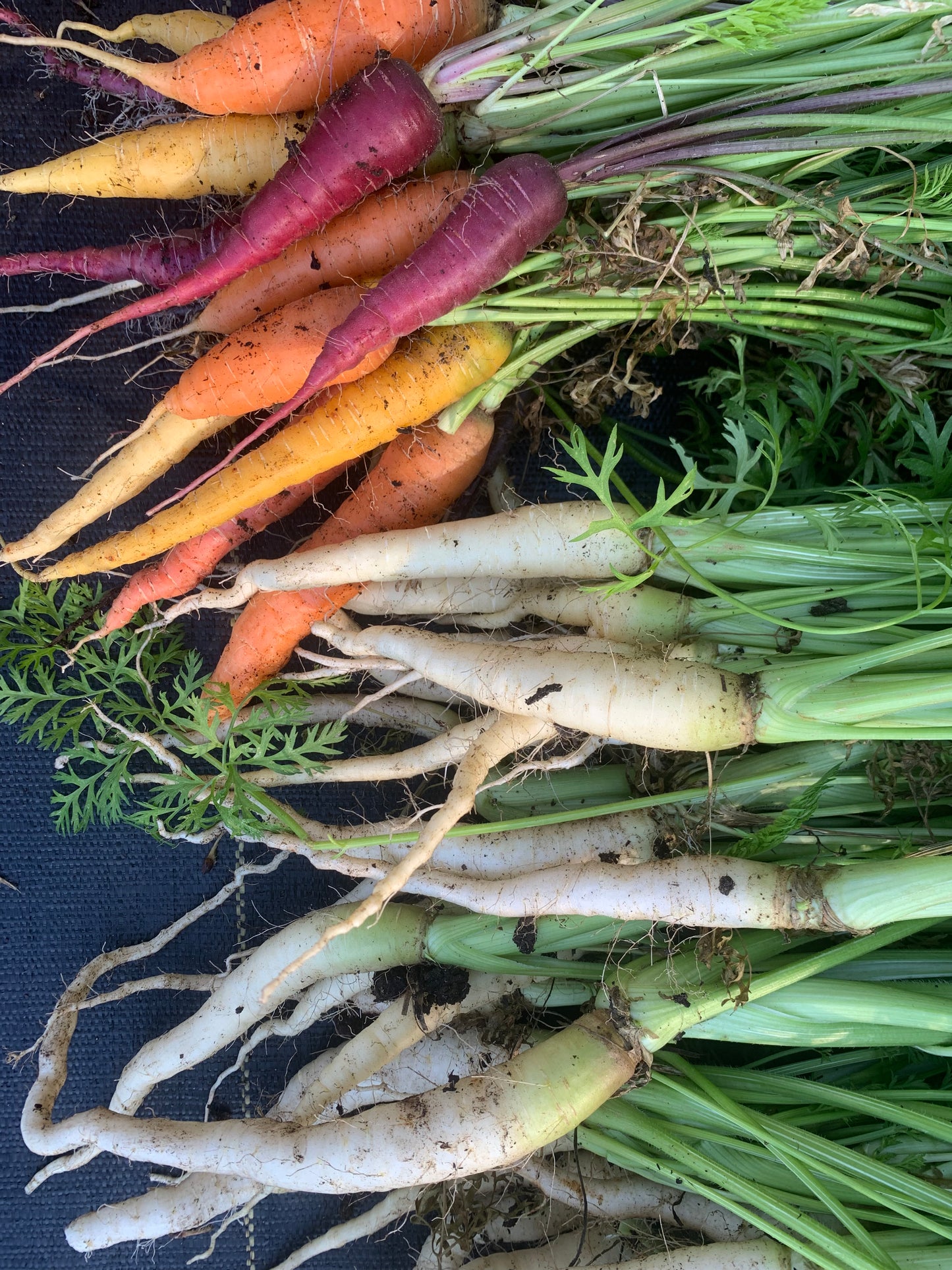 GRANNY’S CARROT CAKE