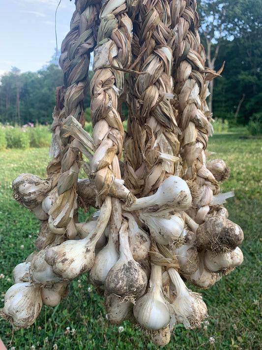 Soft-neck Garlic (1 pound)