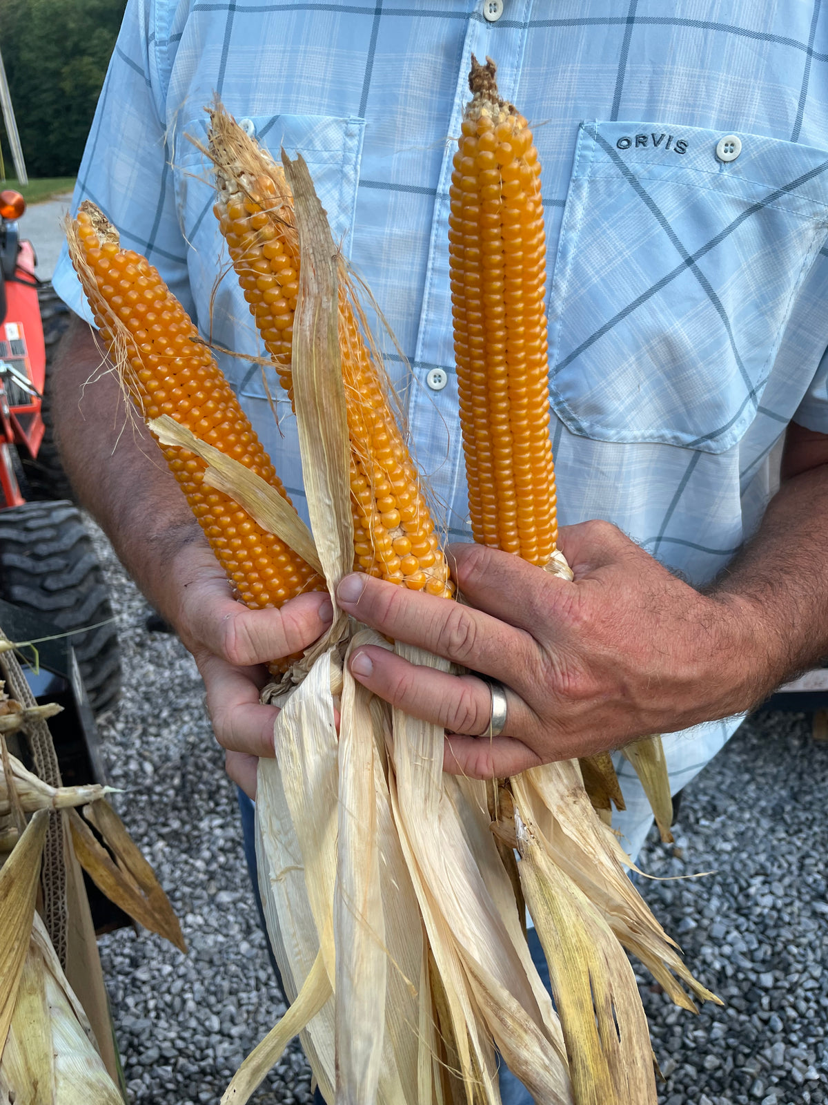 FARM | Popcorn